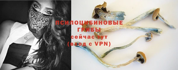 мет Осинники