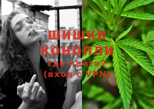 ECSTASY Бородино