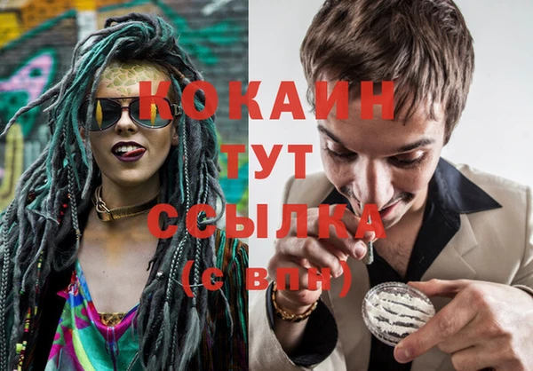ГАЛЛЮЦИНОГЕННЫЕ ГРИБЫ Вяземский