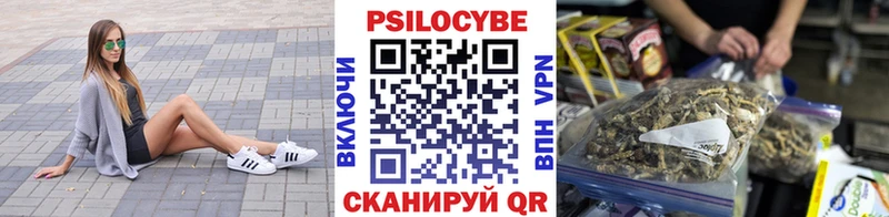 Псилоцибиновые грибы Psilocybine cubensis  Вилючинск 
